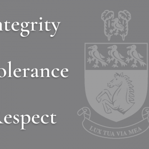 SLT quotes for home page 900x645px Values